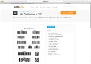 Dynamsoft Barcode Reader 4.2 SDK